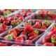 Caserole fructe/legume - fara capac (tratat antiaburire) - 750 GR